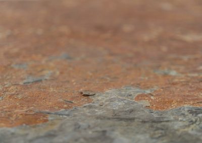 Brutalist Coffee Table in Norwegian Slate stone, 1970s A very powerful Brutalist coffee table from the 1970s, defined by its strong architectural presence and sculptural simplicity. The substantial tabletop is crafted from Norwegian slate, showcasing a rich and varied surface with natural tonal shifts that create depth and visual texture. The solid stone top is supported by a black lacquered metal base, offering a bold contrast while reinforcing the table’s grounded and monolithic character. The table remains in very good condition, with light, age-appropriate wear such as minor scratches to the frame.